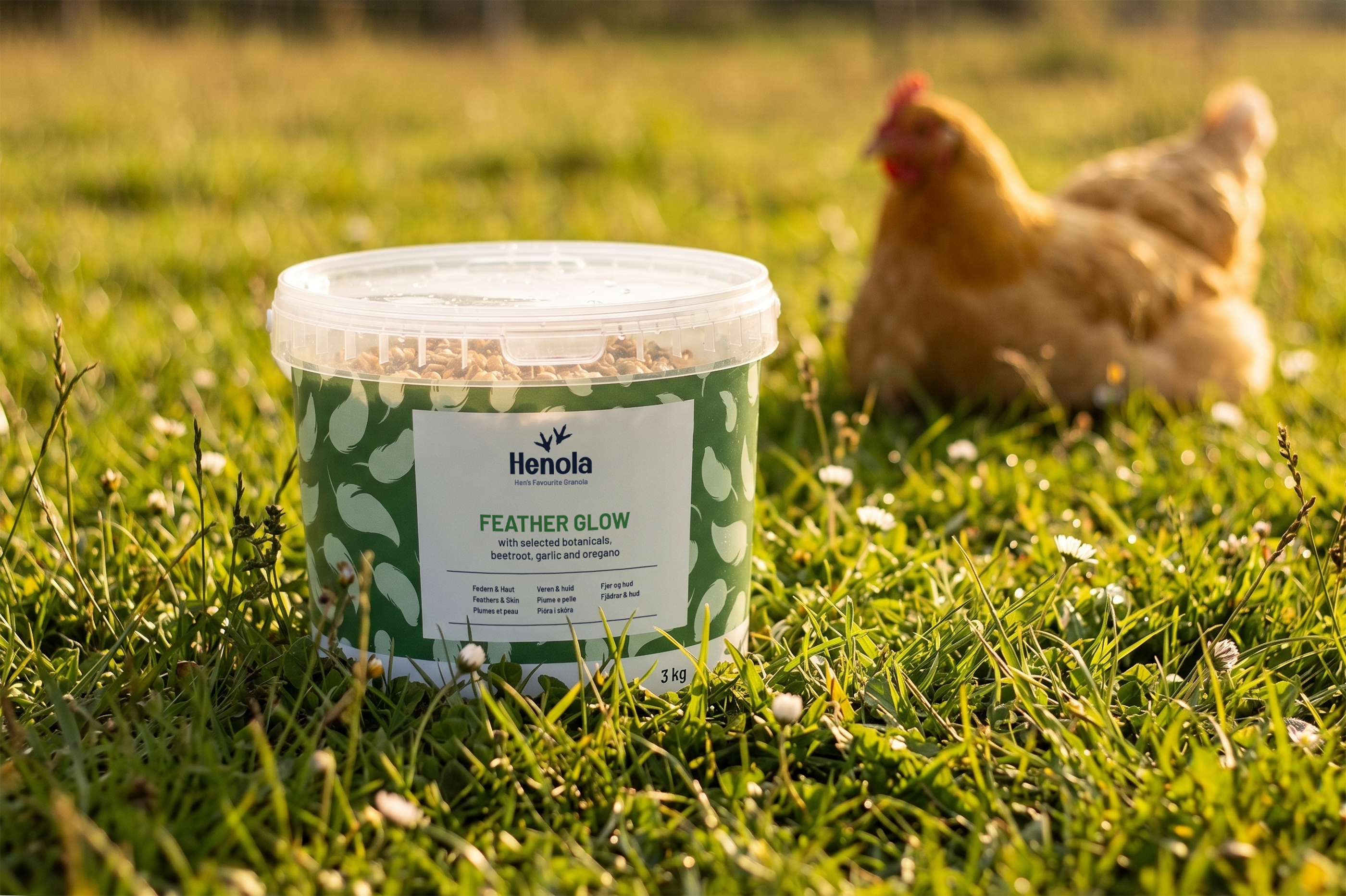 HENOLA Granola Feather Glow