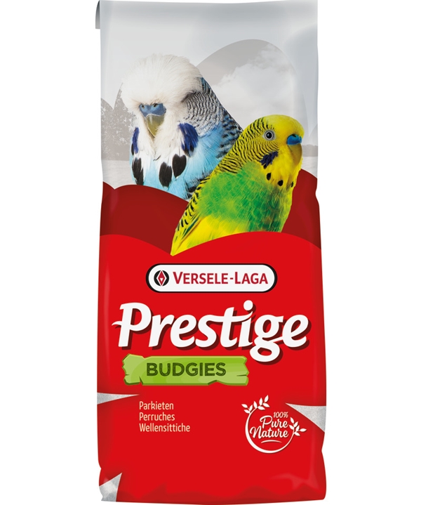 Prestige Wellensittich Zucht