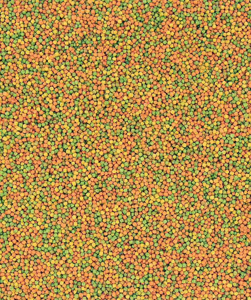 5410340221037food