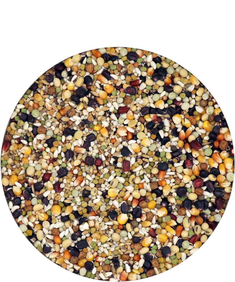 5410340110980foodLrRJKIaMaRSf2