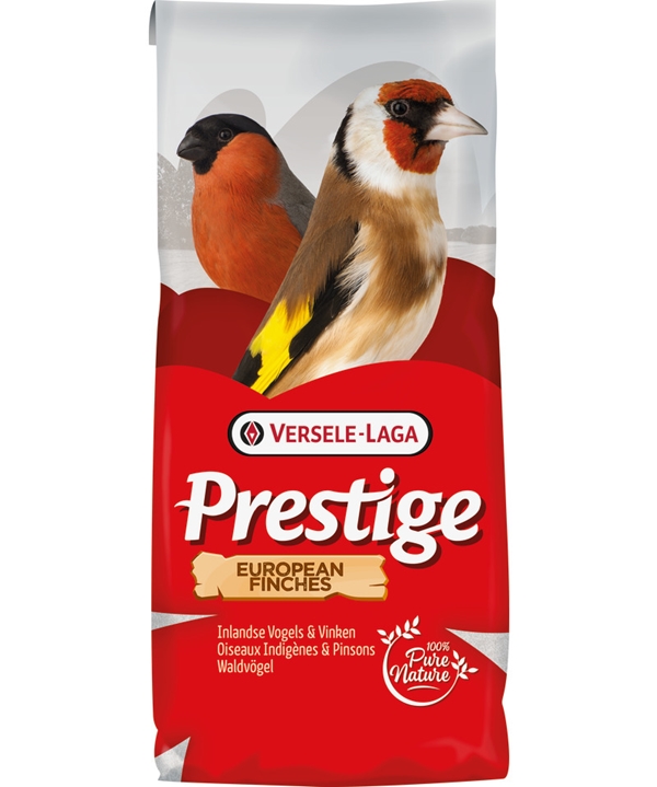 VL Prestige Waldvögel Zucht ohne Rübsen