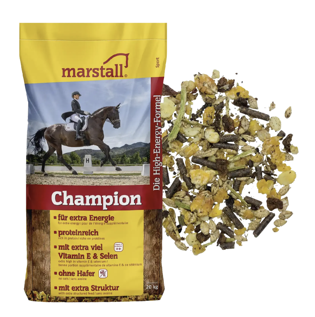 Marstall Champion