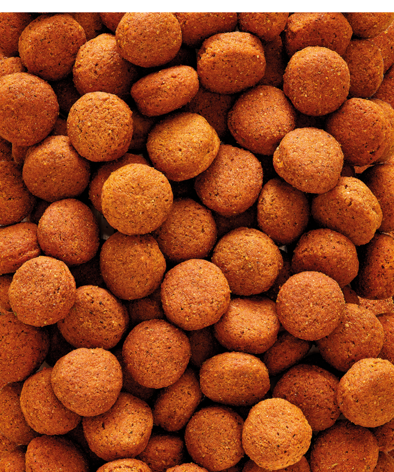 5410340221204food