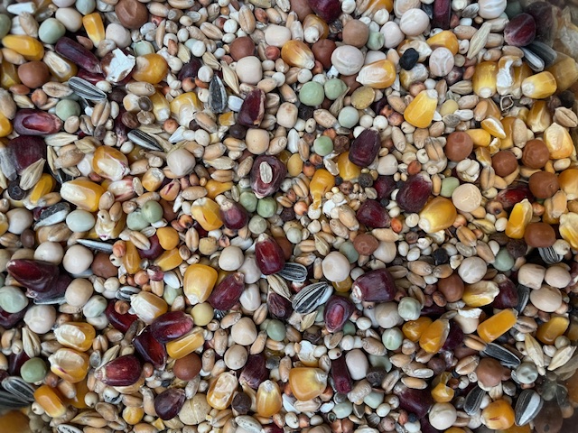 Rath's Exclusiv Mauser