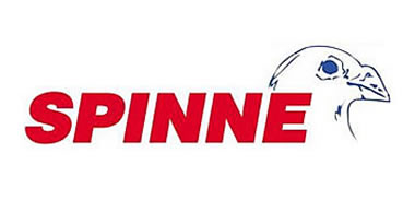 Spinne