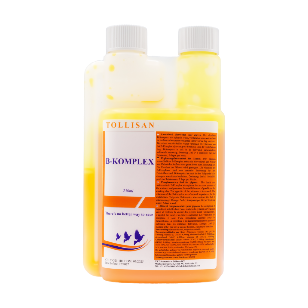 TOLLISAN B-Komplex flüssig