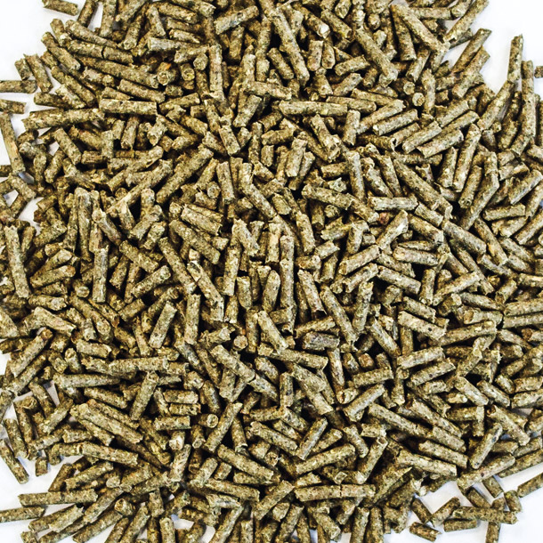 ALFANA Siegerpellets Phase 2