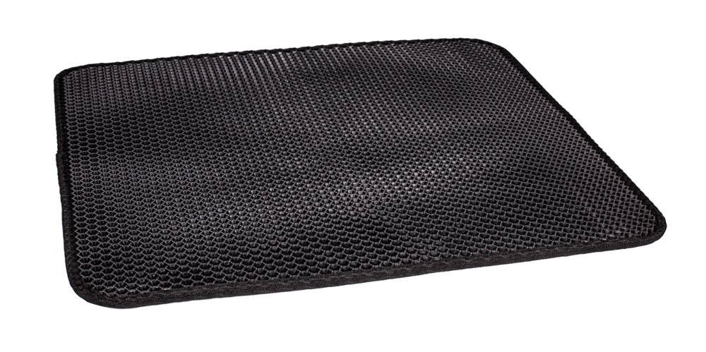 Felicity Sieb-Vorleger Femi