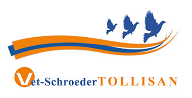 Tollisan