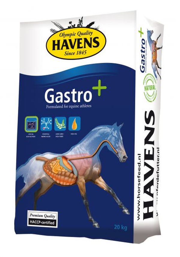 Havens Gastro +