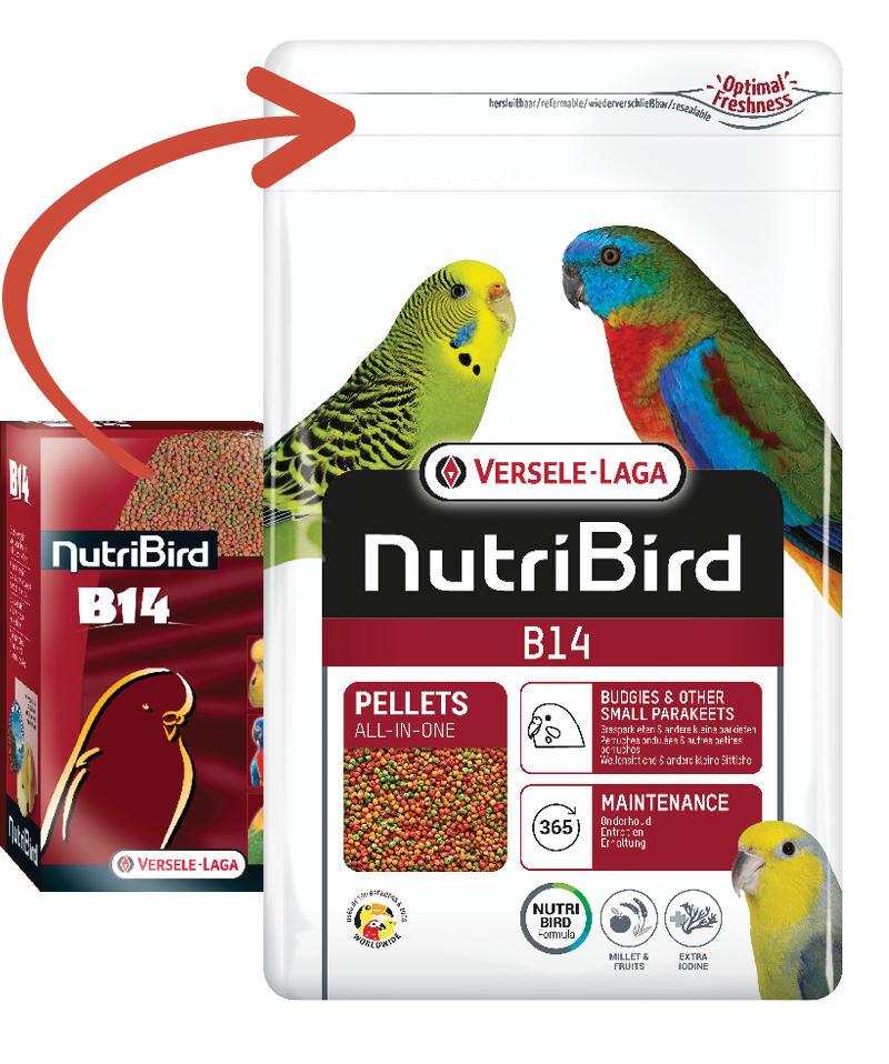 NutriBird B14