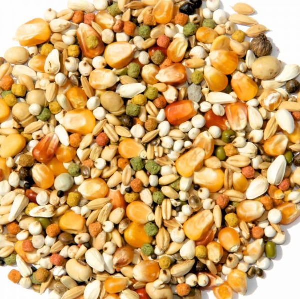 VERSELE-LAGA Gerry Plus I.C. 20 + 2 kg