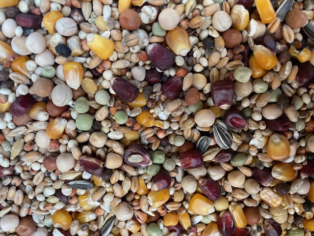 Rath's Exclusiv Zucht