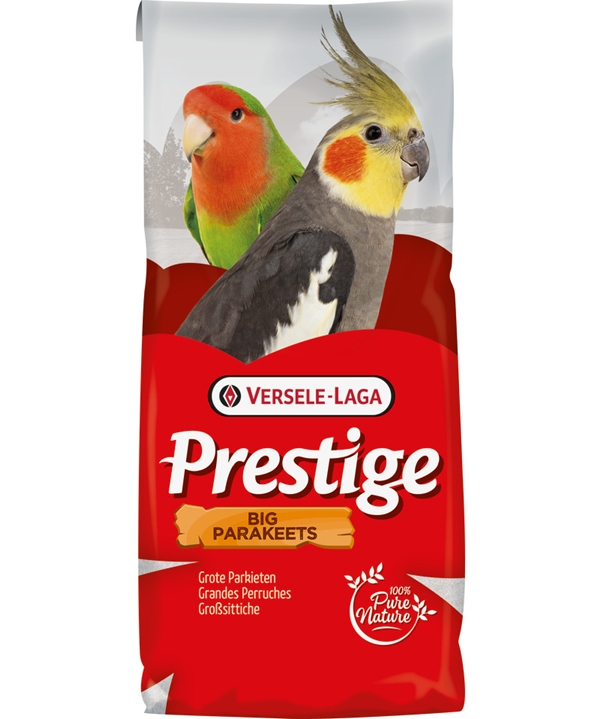 Prestige Großsittich Super Zucht