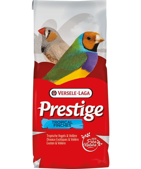 Prestige Exoten Zucht