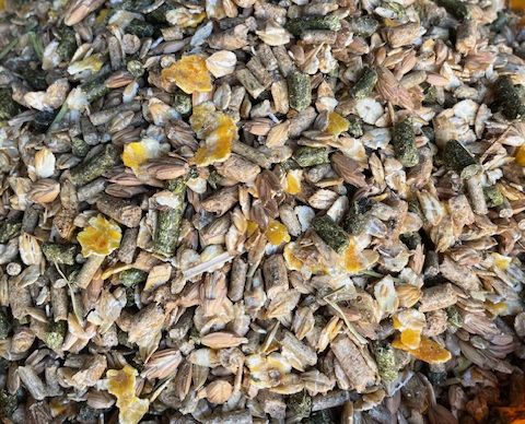 Rath's Best-Mix Gerste-Mix (ohne Hafer)